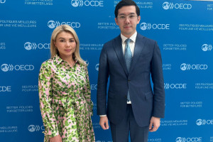 Внедрение стандартов ОЭСР в Казахстане