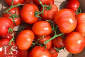 Предприятия Актюбинской области нацелились на зарубежные рынки