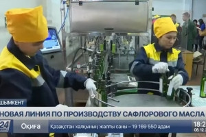Шымкентте мақсары майын өндіру желісі іске қосылды