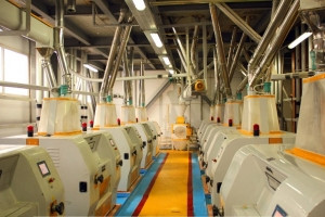 Сапалы ұн мен макарон өнімдерін қалай дайындайды? | Made in KZ