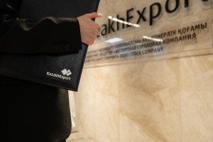 Мәжіліс Экспорт-кредит агенттігі туралы заңды қабылдады