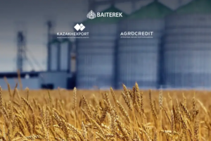 Экспортно-кредитное агентство и АКК запустили программу поддержки экспортеров