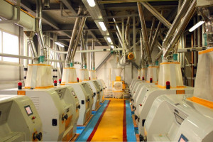 Как создают качественную муку  и макаронные изделия? | Made in KZ