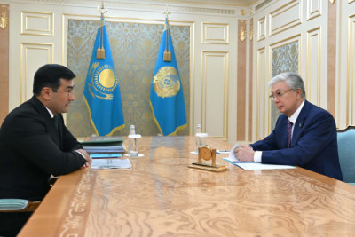 The head of state received the chairman of the board of the Baiterek holding company, Rustam Karagoishin.
