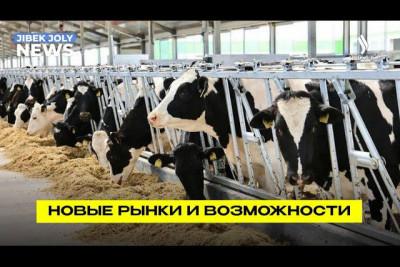 Отандық өнім Қазақстанның экспорттық-кредиттік агенттігінің көмегімен нарықтарды жаулап алуда
